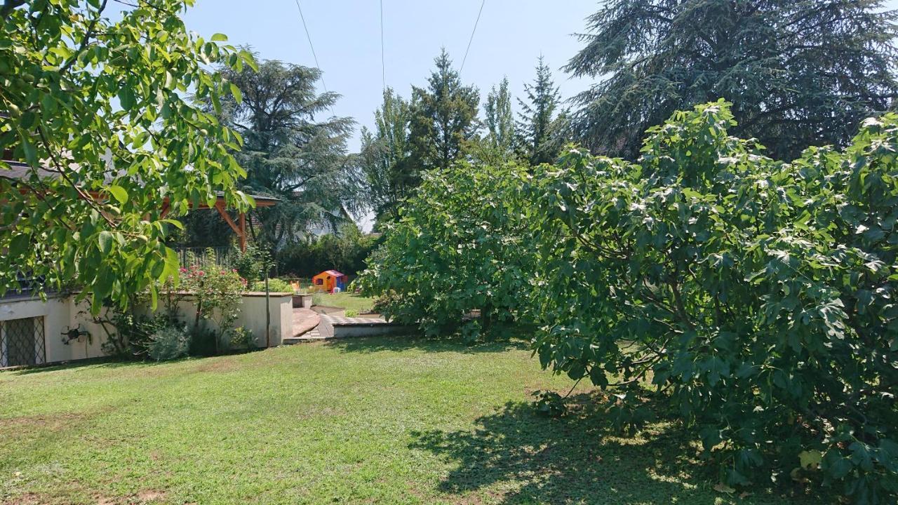 Appartement Logement entier: Route des Vins.Wintzenheim Extérieur photo